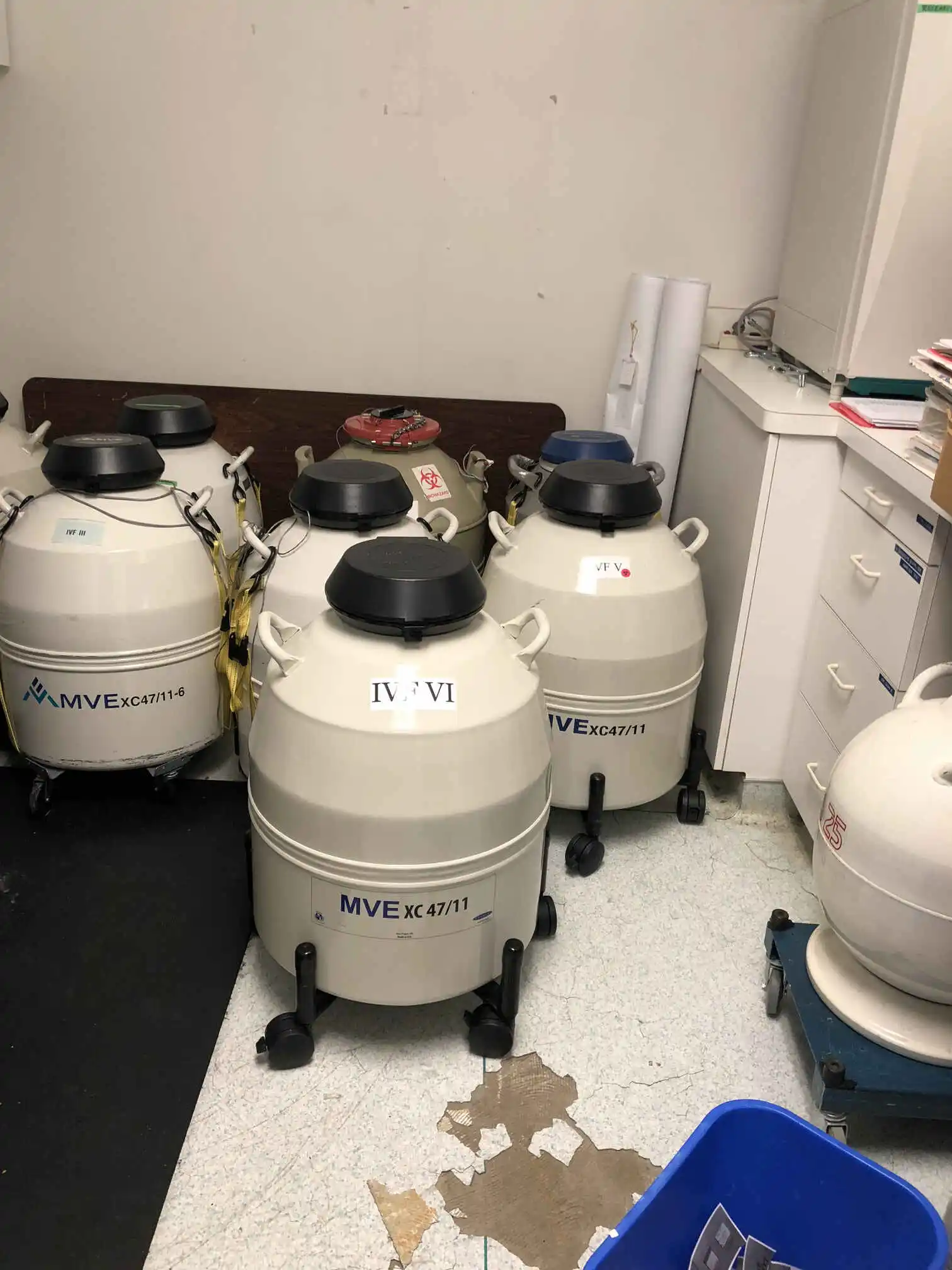 Cryogenic embryo storage inside a fertility laboratory