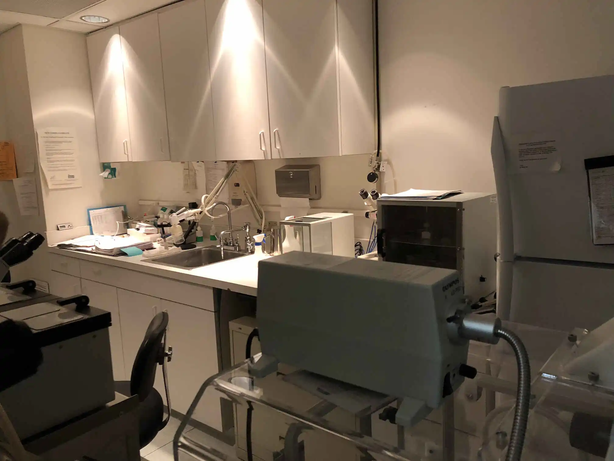 Sperm Donor Screening for IVF: What Is Tested and What Is Not