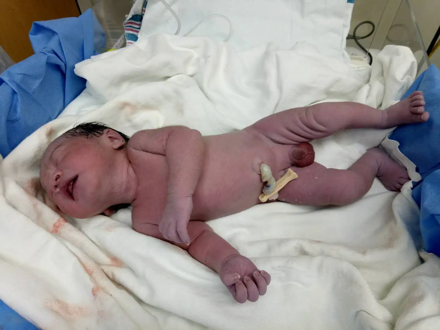 Newborn after a single intended father completed a family-building journey