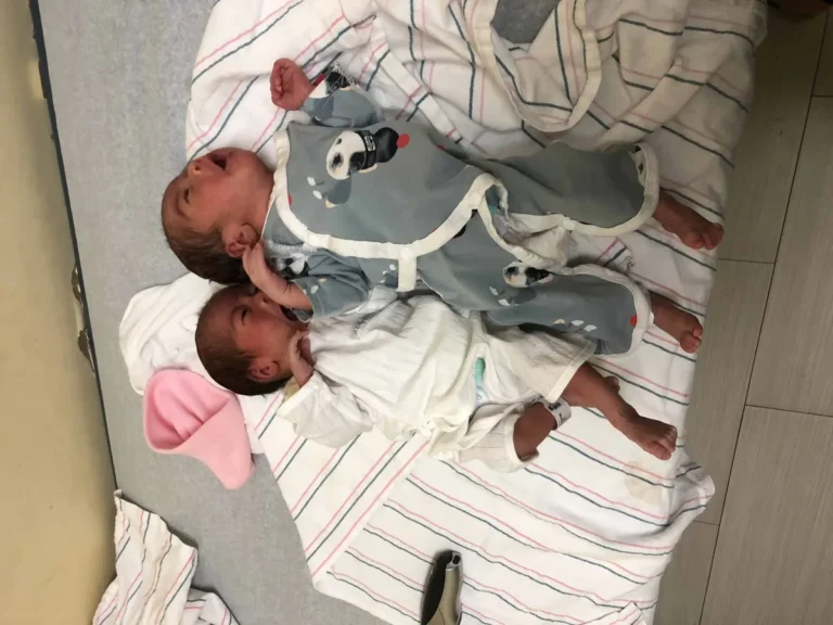 Twin newborns after a surrogate delivery