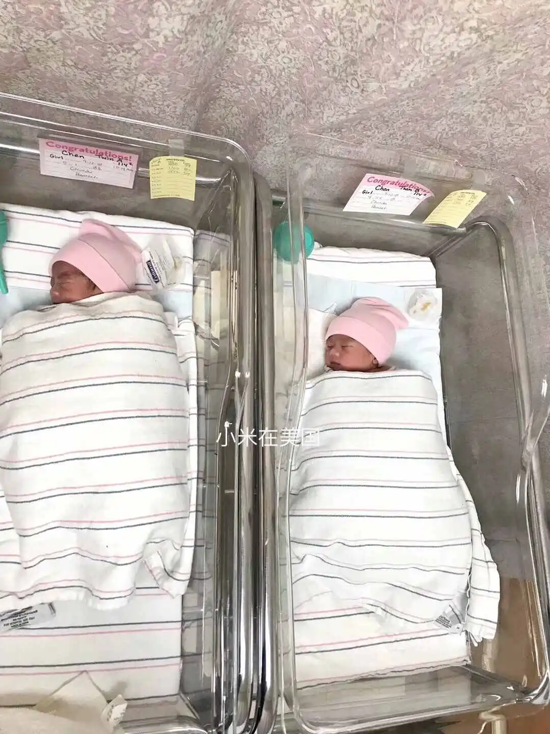 Twin newborns in hospital bassinets after delivery